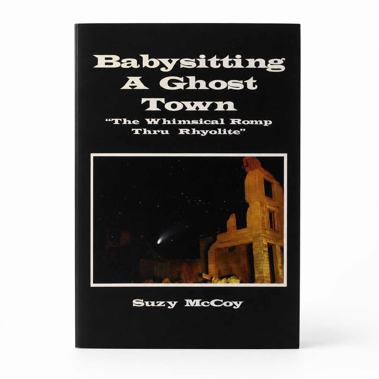 Babysitting a Ghost Town Book