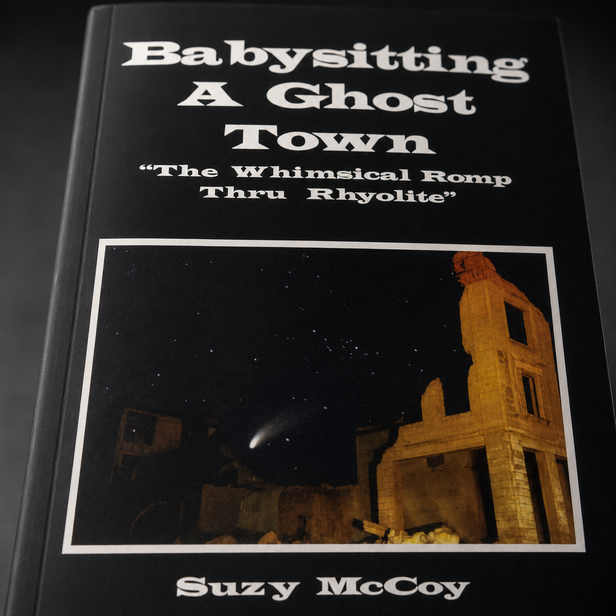 Babysitting a Ghost Town Book